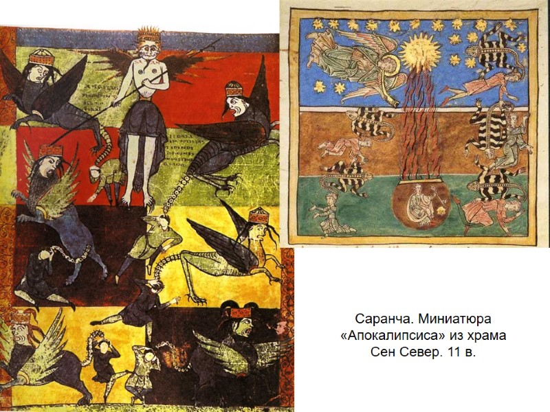 Саранча. Миниатюра «Апокалипсиса» из храма  Сен Север. 11 в.